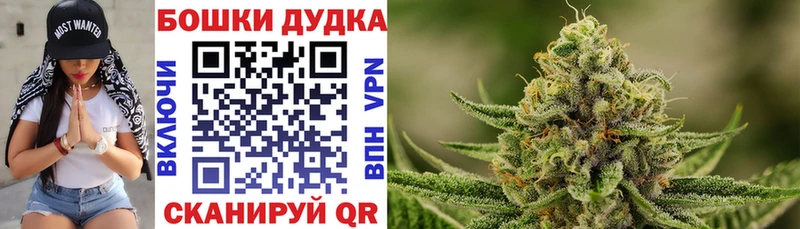 Магазины продажи наркотиков Строитель Каннабис Меф КОКАИН Гашиш