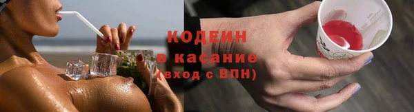 крисы Армянск