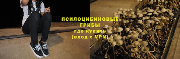 сатива Алзамай