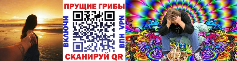 Псилоцибиновые грибы мицелий  цены наркотик  hydra ССЫЛКА  Строитель 