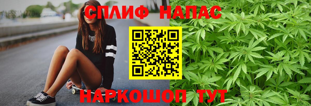 Конопля SATIVA & INDICA Строитель